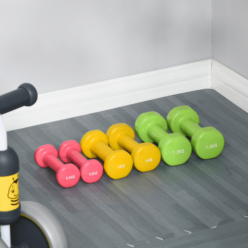 HOMCOM 6kg Dumbbell Set for Men and Women, Home Gym Exercise - Fitness Max