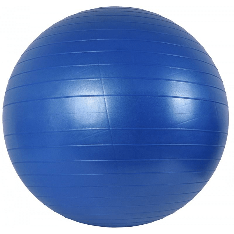 65 cm Gym Ball with Pump for Yoga, Pilates, Core Strength Training - Blue Exercise Ball - Fitness Max